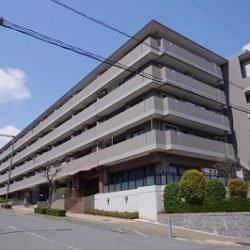 【ライオンズマンションこどもの国】<br> 所在地　：神奈川県横浜市青葉区奈良５丁目<br> 交通　　：東急こどもの国線「こどもの国」駅徒歩10分<br> 総戸数　：49戸<br> 建物構造：ＲＣ<br> 階数　　：地上4階<br> 築年月　：1995年5月<br> 施主　　：大京<br> 施工　　：熊谷組