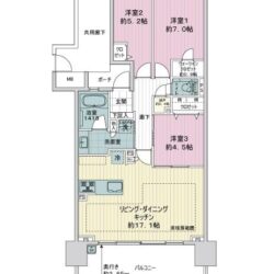 3LDK＋WIC、専有面積：76.71m2、バルコニー面積：18.81m2(間取)