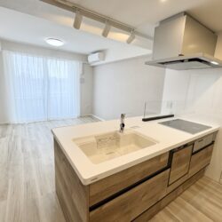 キッチンシンクには、天板と一体の人造大理石が施され、メンテナンス性に優れます(キッチン)