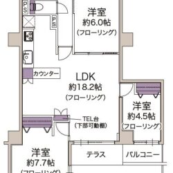 3LDK＋SIC、専有面積：85.13m2、バルコニー面積：2.44m2、テラス面積：3.46m2、専用庭面積：31.25m2(間取)