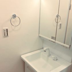 2面鏡の収納スペースがあり、一体型ボウルでお手入れがしやすい仕様です。シャワー水栓でさらに便利。